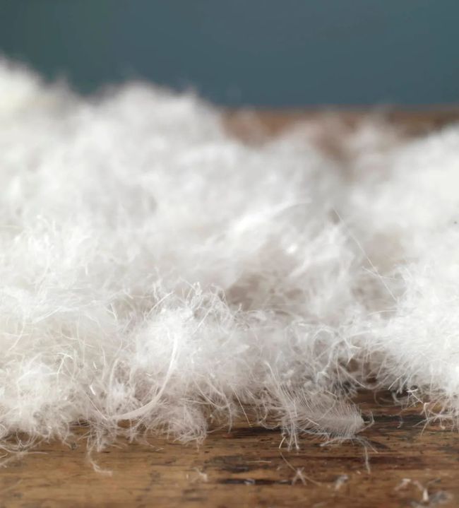 别再穿烂大街的小白鞋了,别再穿烂大街的秋裤