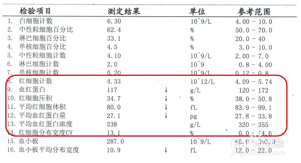 详细解读血常规建议收藏,血常规报告电子版编辑
