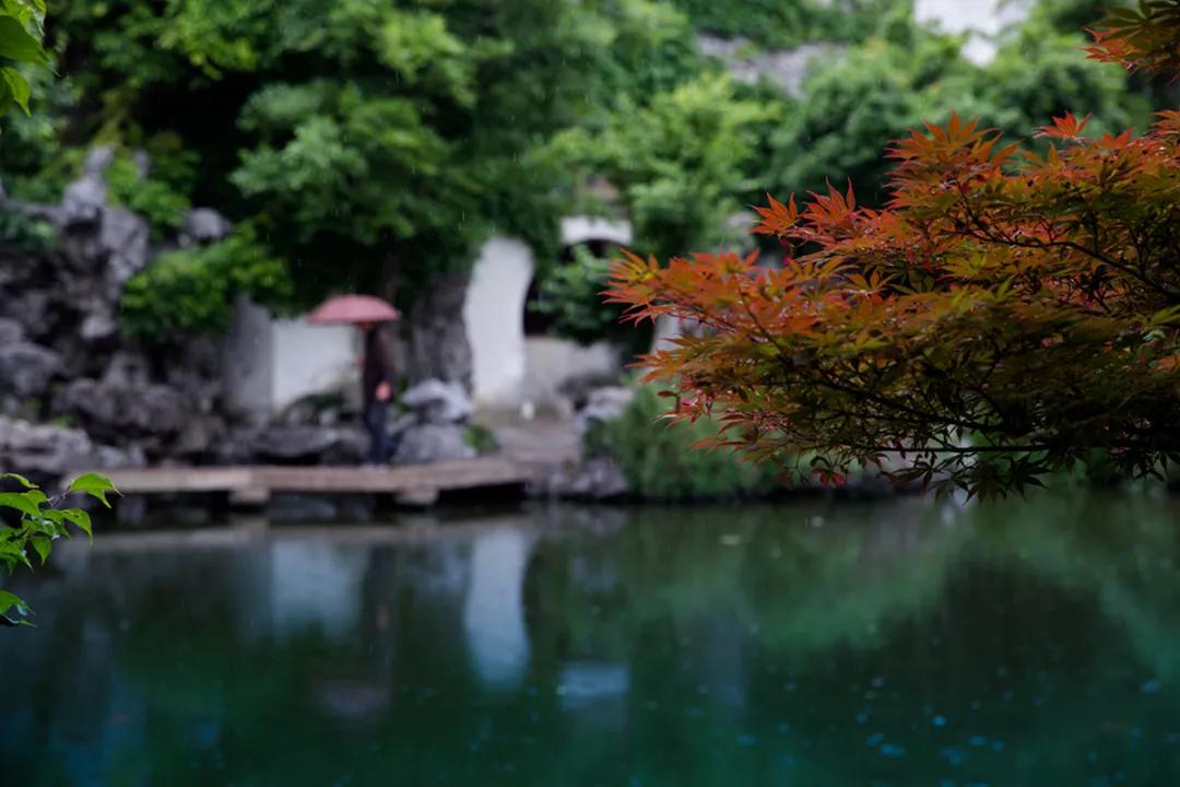 苏州园林静谧之美,苏州小众园林