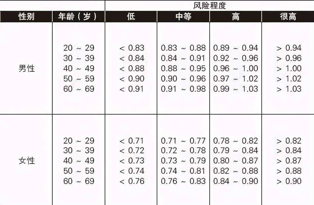九头身美女日本,九头身美女
