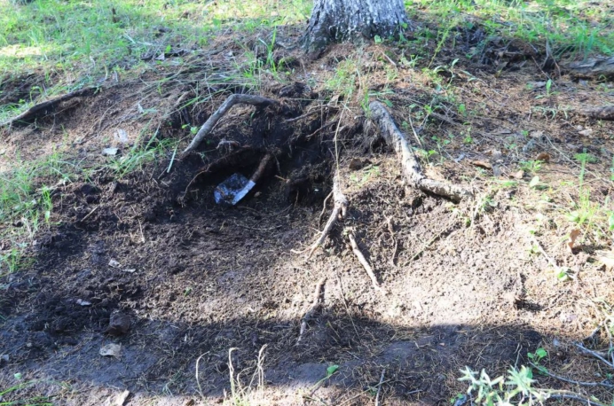 黑龙江黑土地被盗事件,偷黑土被判刑后续