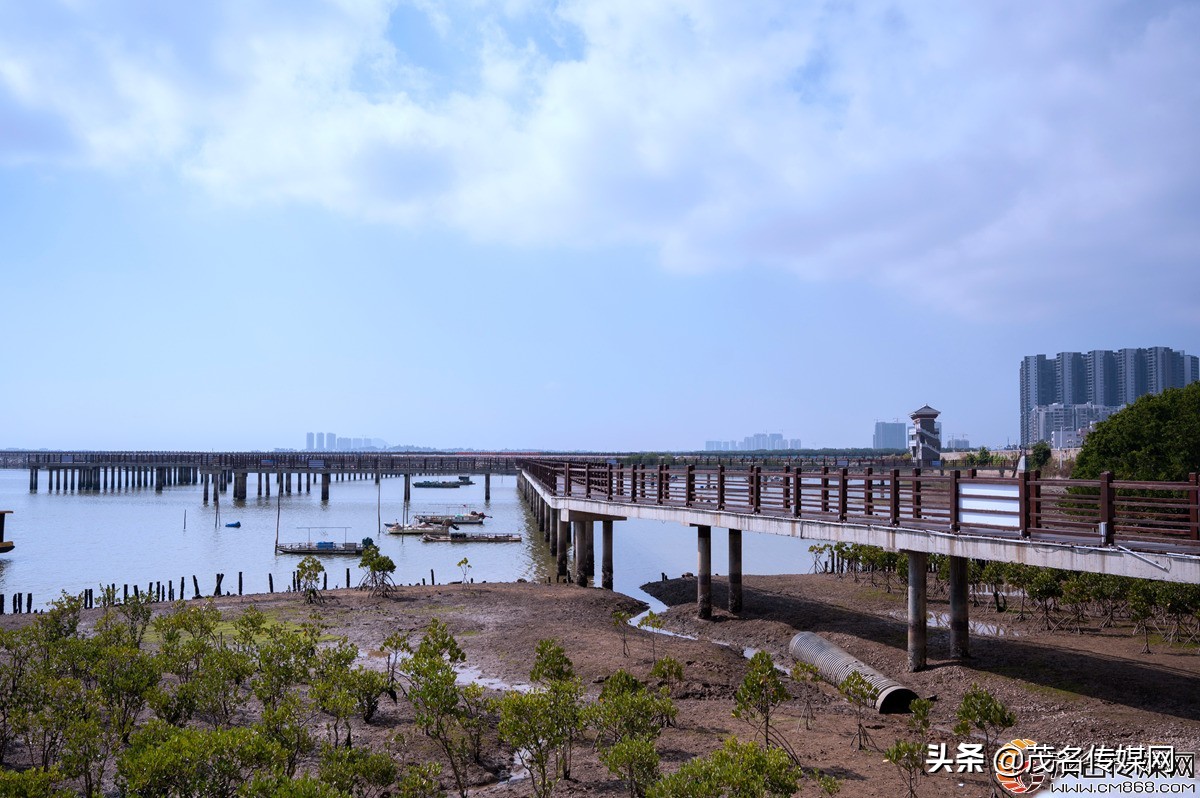 电白在崛起！——2021网络媒体看滨海（电白）采风活动