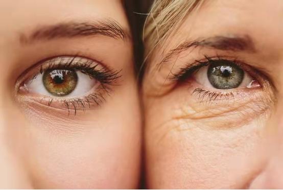 希芸官方旗舰店正品直播眼霜,希芸的眼霜怎么样