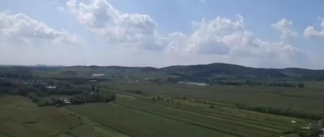 新法来了:未批准进口的药品不再列为假药|农村集体土地可直接入市