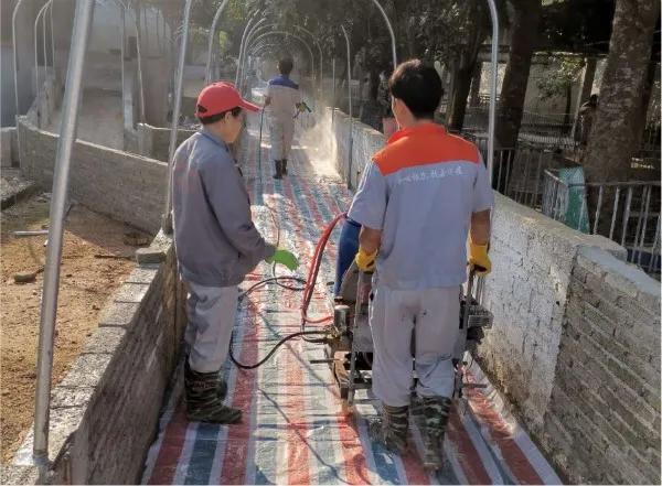 100头母猪发展到2000头需要多久,回望二十年养猪之路