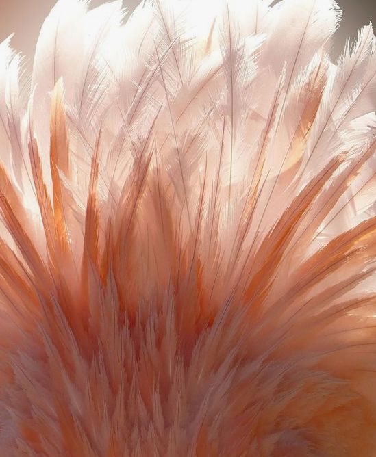 秋冬口红沉浸试色,秋冬减龄口红intoyou