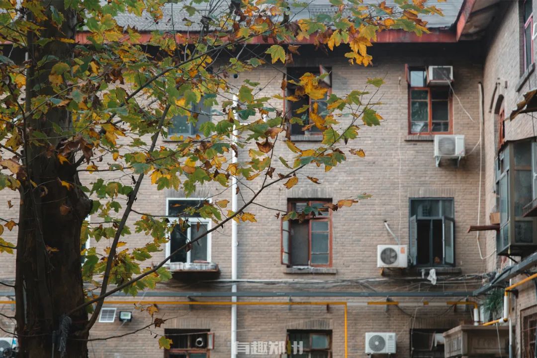 陇海高架下的普通小街，隐匿着几代铁路人的不平凡人生