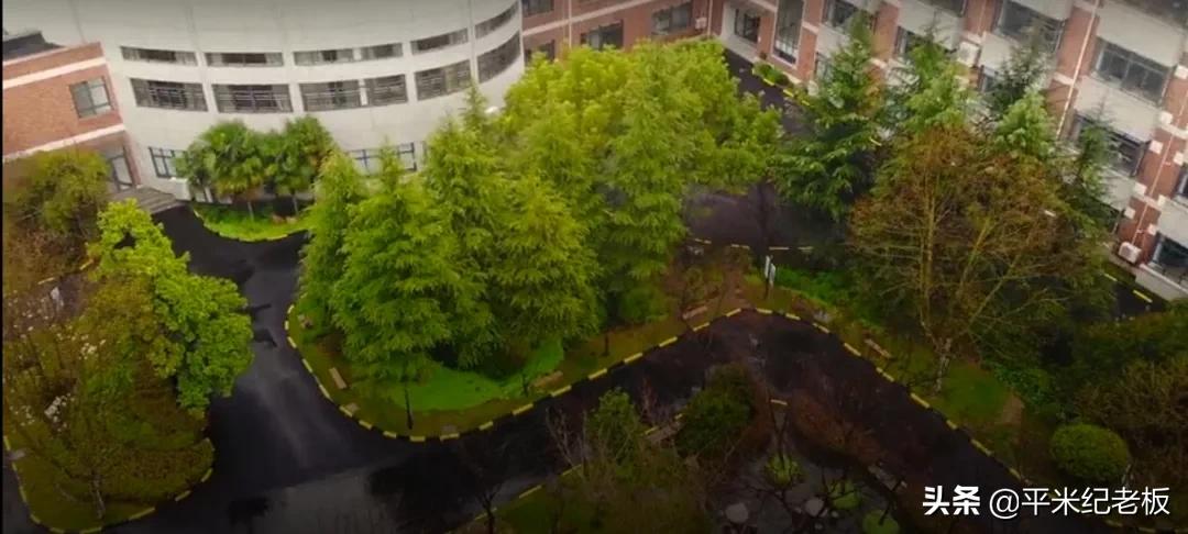 一所学校集齐华育、上宝、张集的骨干教师,地段对口,香不香?