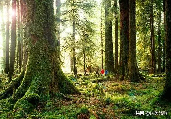 西雅图一生必去的景点,西雅图旅游攻略必去景点大全