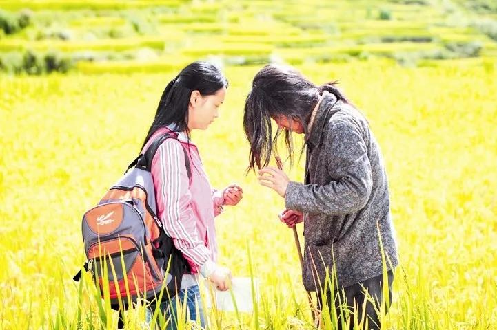 苗圃樱桃最后怎么死的,苗圃樱桃解读