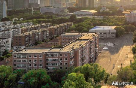 东北林业大学vs山东大学,东北林业大学pk山东师范大学