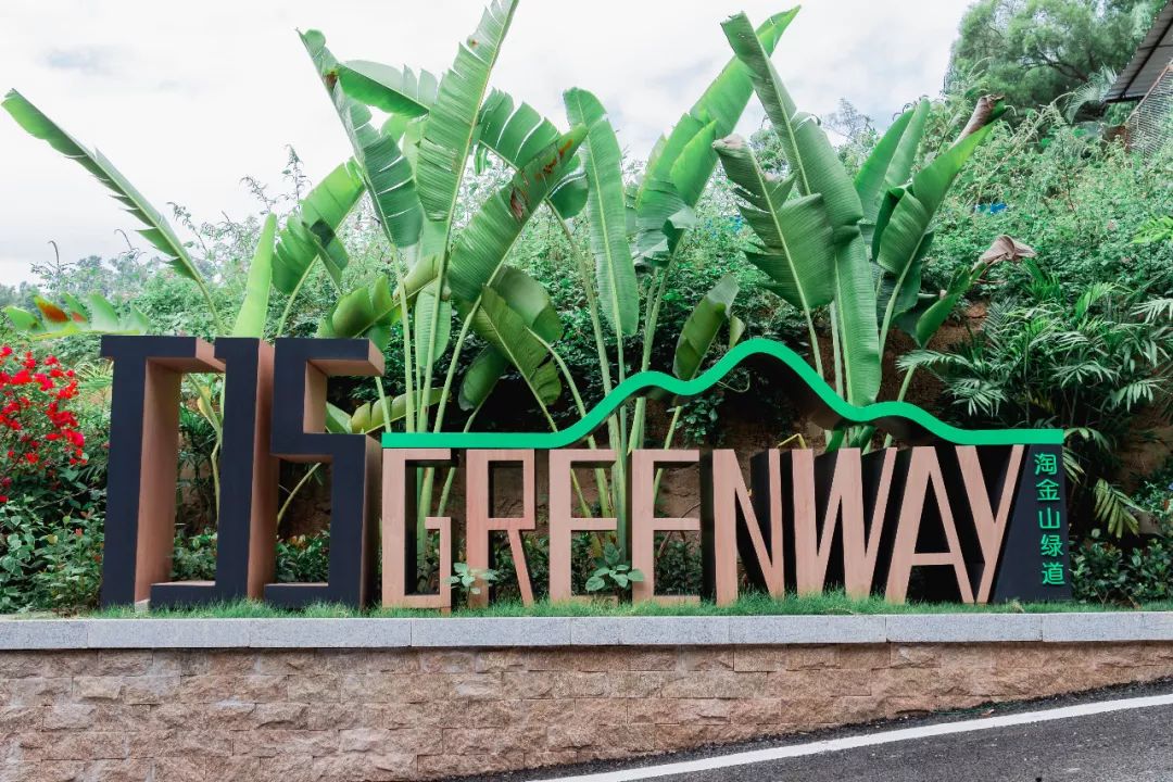 又发现深圳一个“绝美打卡地”!“淘金”绿道,人少免费