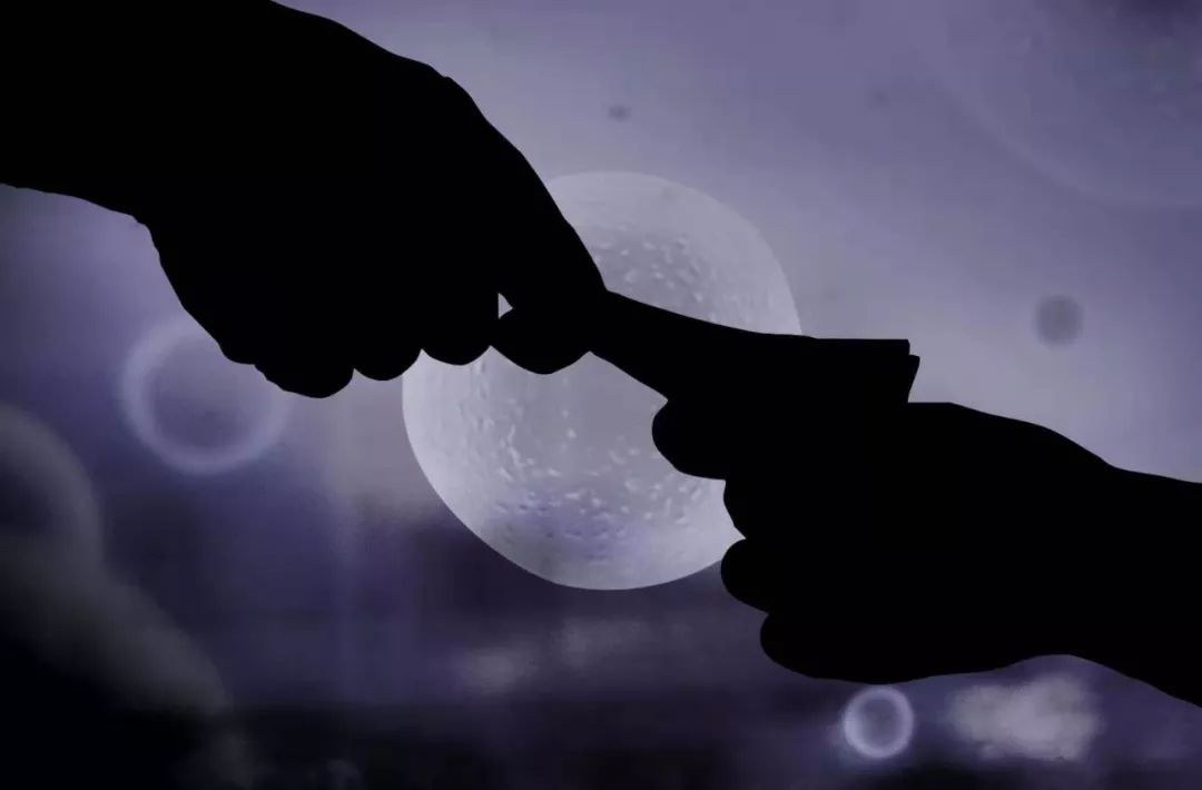 卖卵*市黑**调查：十天赚五万，也可能搭上性命