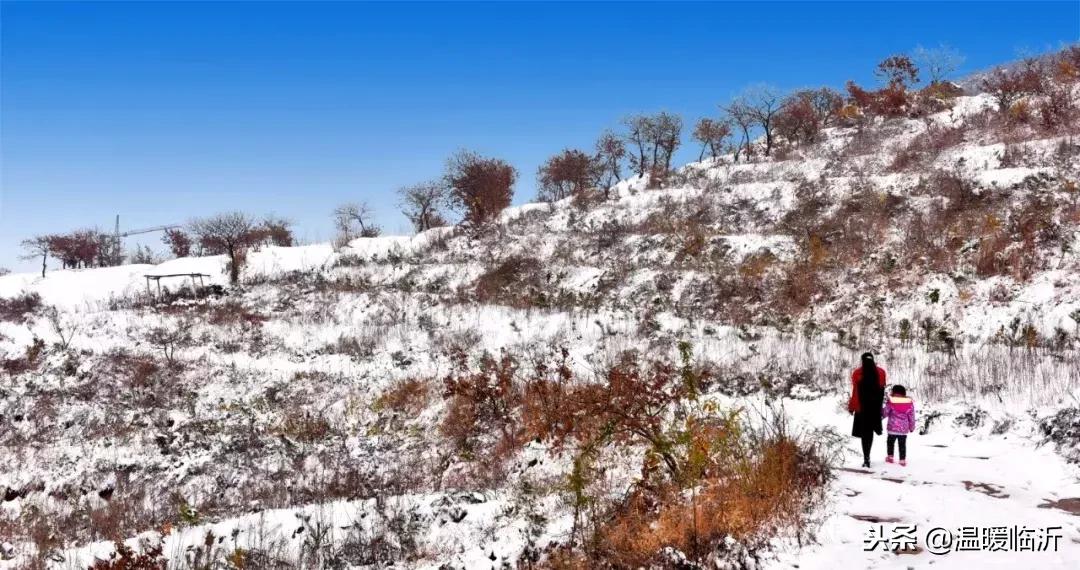 雪后的临沭小城，美得令人窒息