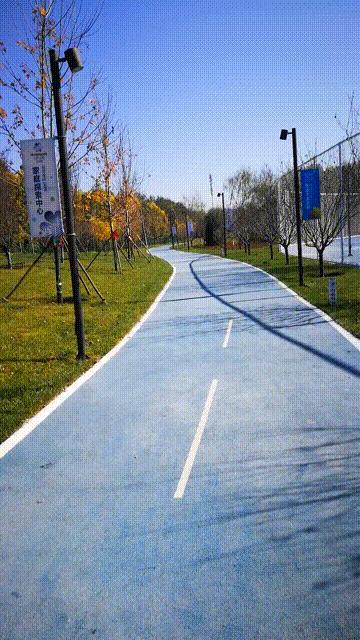 廊坊三叶公园项目信息,廊坊三叶公园附近