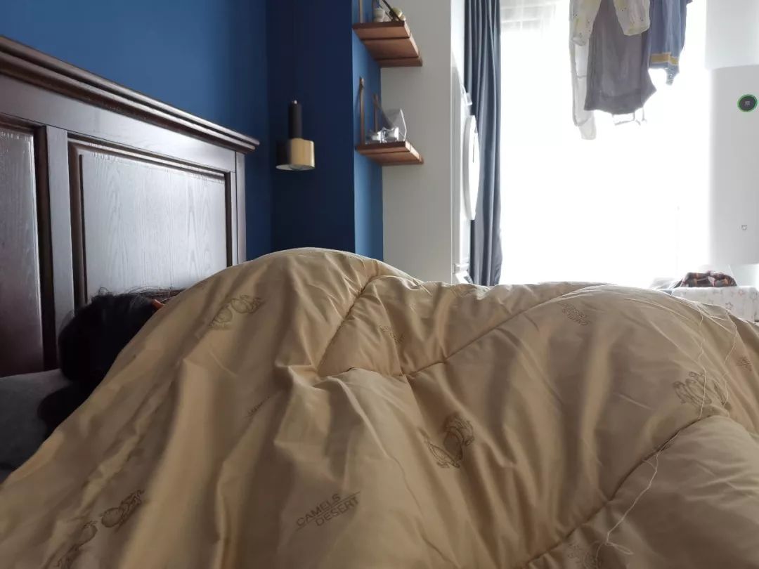 各种被芯,被芯哪种材质比较好