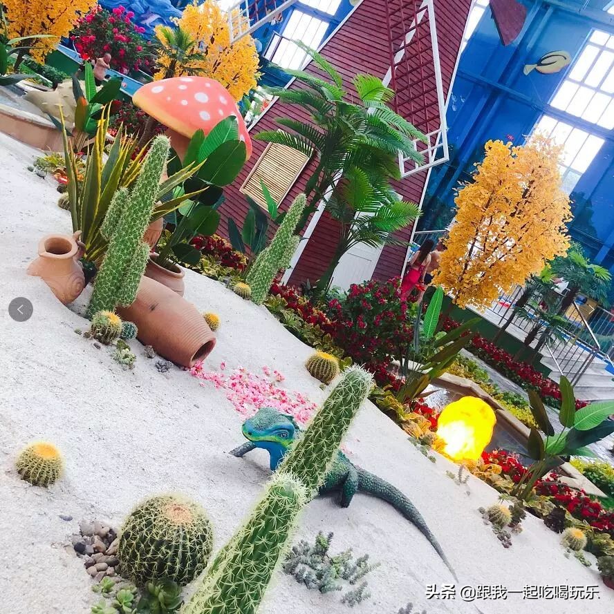 沈阳温泉水世界自助好吗,沈阳温泉池多的温泉