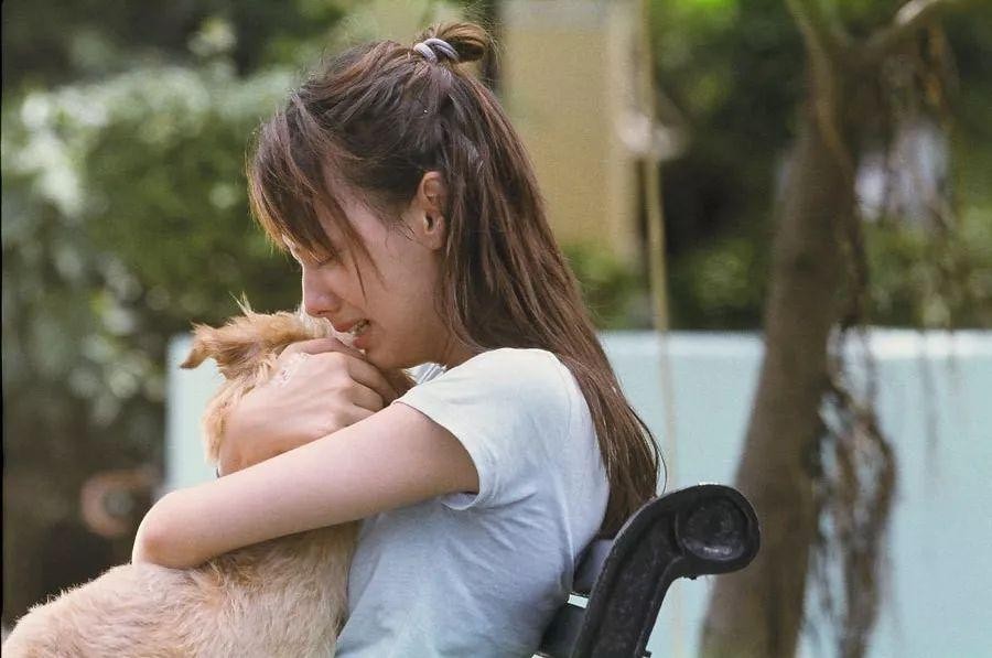 揭秘梁洛施与李泽楷的分手原因 (梁洛施是怎么拿下李泽楷的)