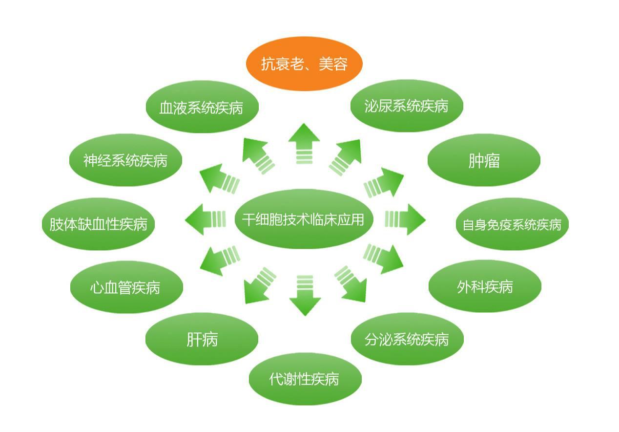 中源协和干细胞治疗前景,中源协和在干细胞领域的地位