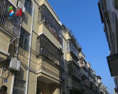 惠州杨侨镇是哪个区,惠州潼侨镇简介