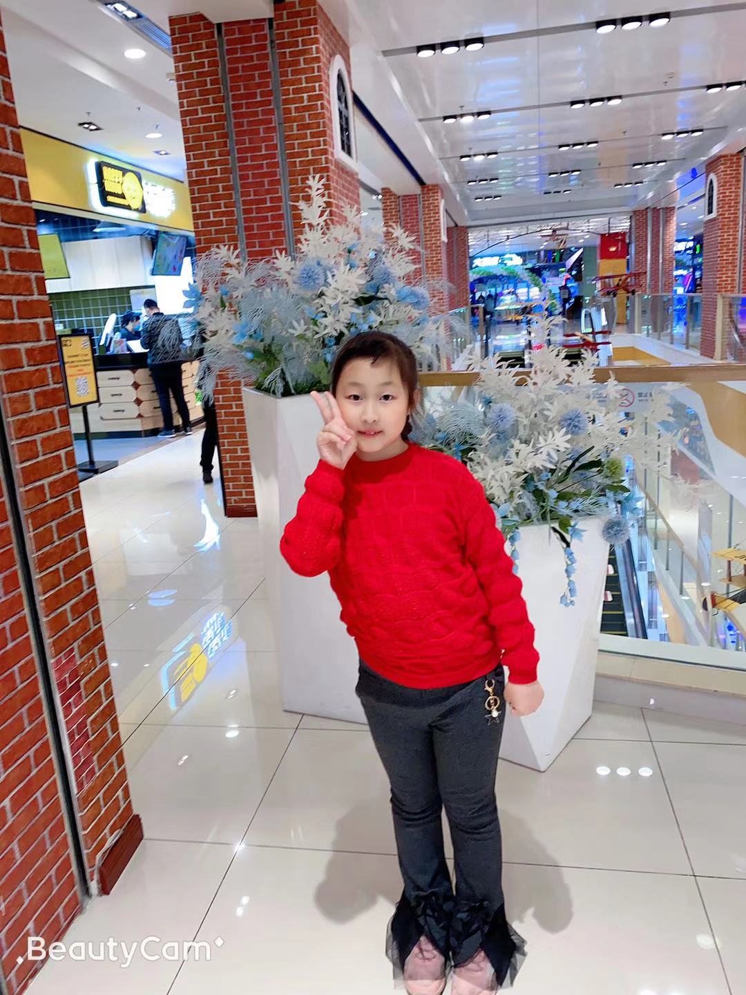 思维导图我的动物朋友,四年级习作我的动物朋友导图