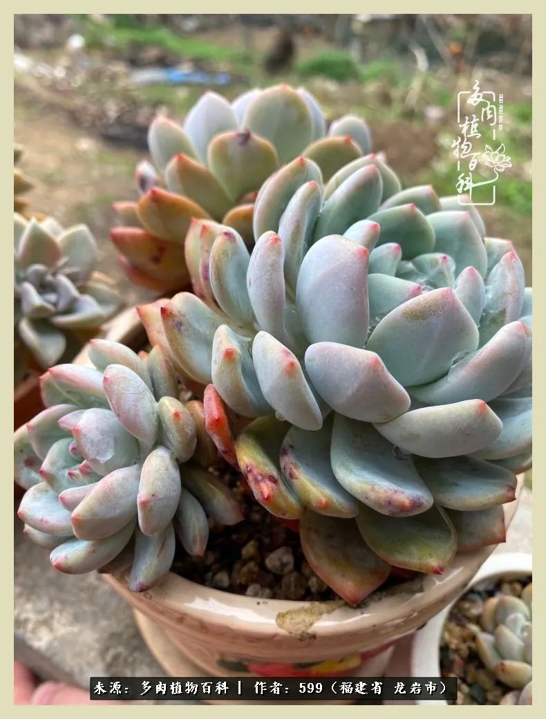 所有的热爱都不遗余力,所有的忙碌都是因为热爱