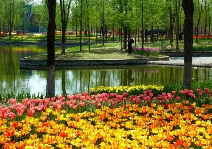 我叫石家庄，这是我2019年最新简历，请多关照！