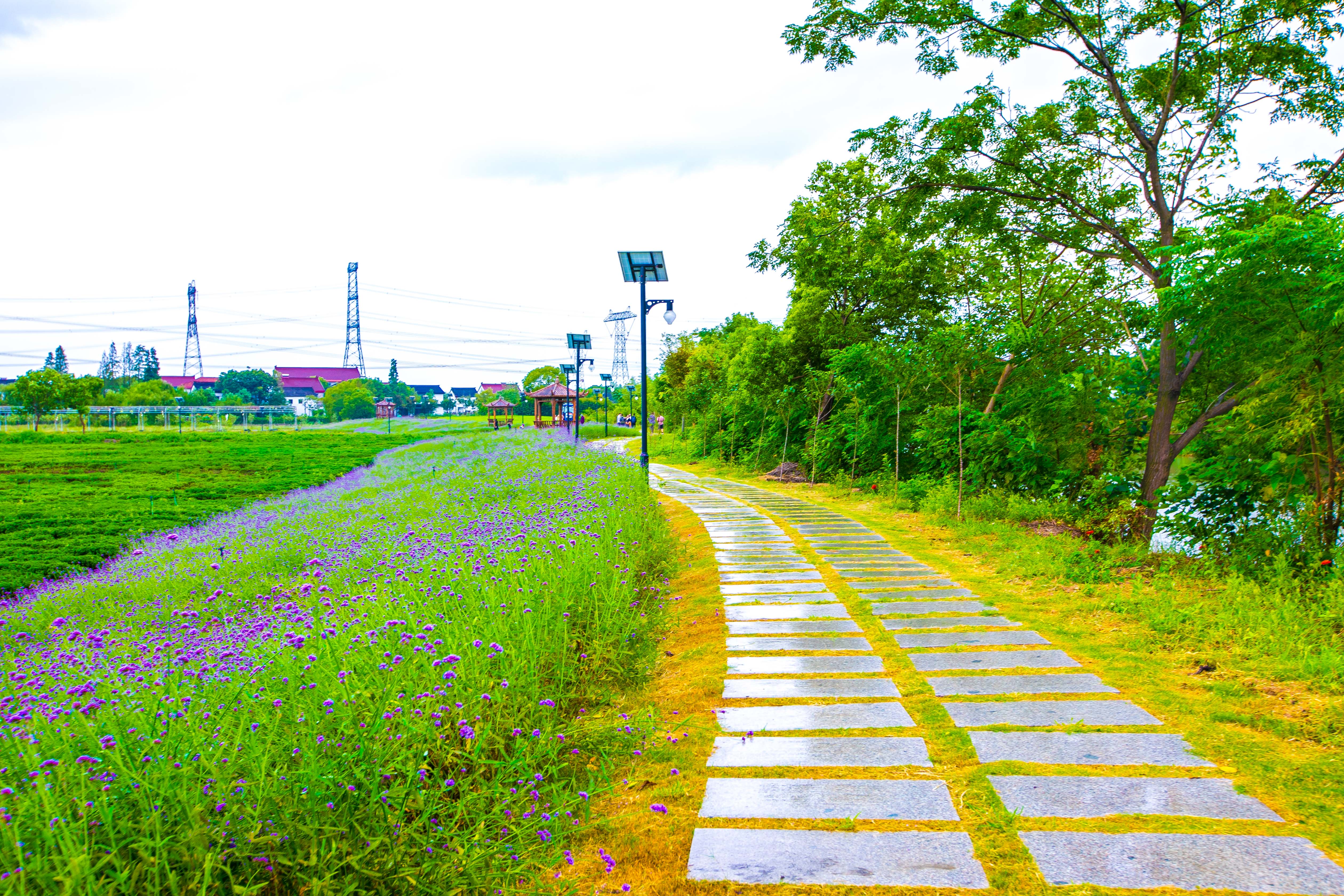 与乌镇在同一行政区的水乡古镇,乌村和乌镇距离多远