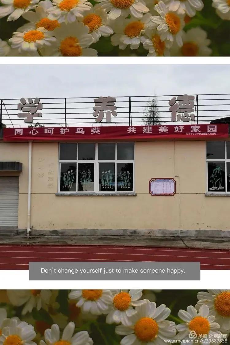 “同心呵护鸟类共建美好家园”建阳麻沙中心小学第38届爱鸟周活动