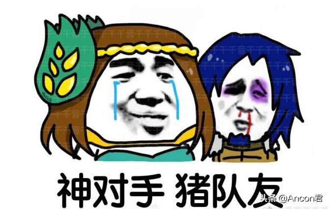 项羽适合打辅助还是适合打对抗,项羽是打辅助好还是打边路好