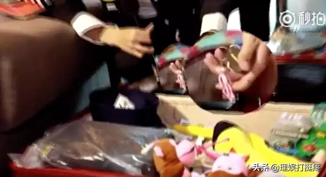 男女明星旅行差异大起底!不看不知道原来我们不一样