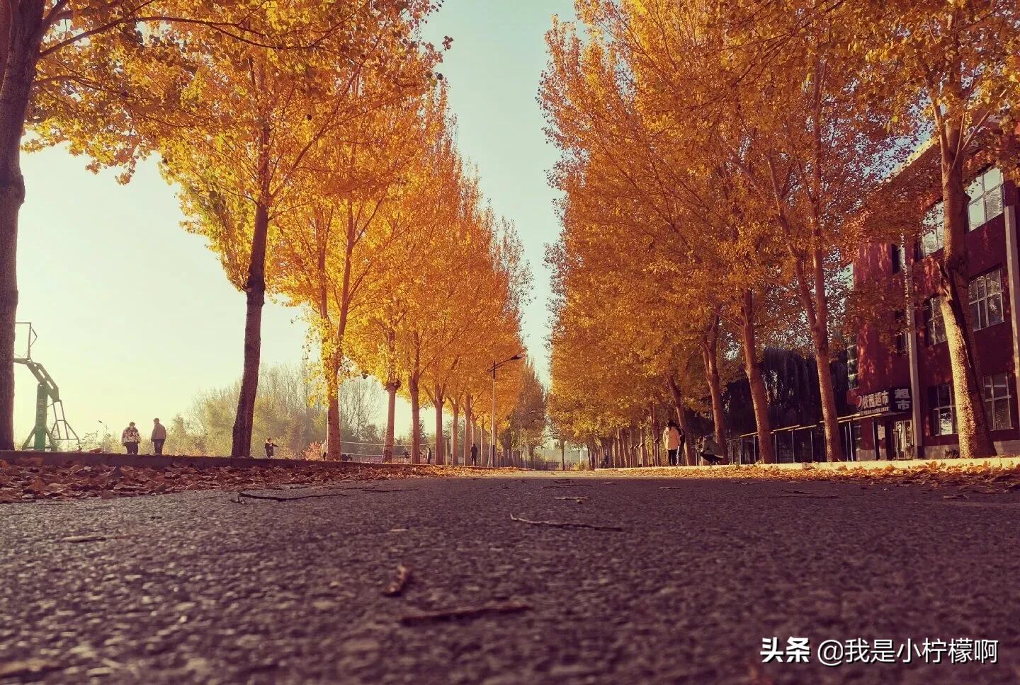 松原职业技术学院是二本吗,松原职业技术学院在哪个区