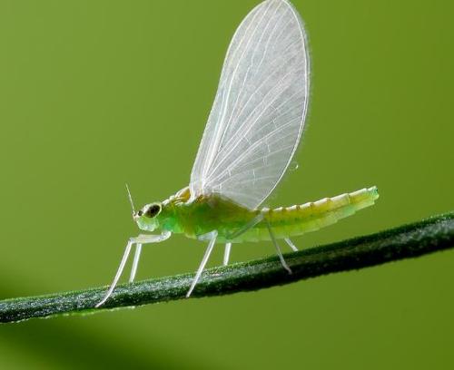 书山有路，莫让年华虚度——与我初一的学弟学妹们说说心里话