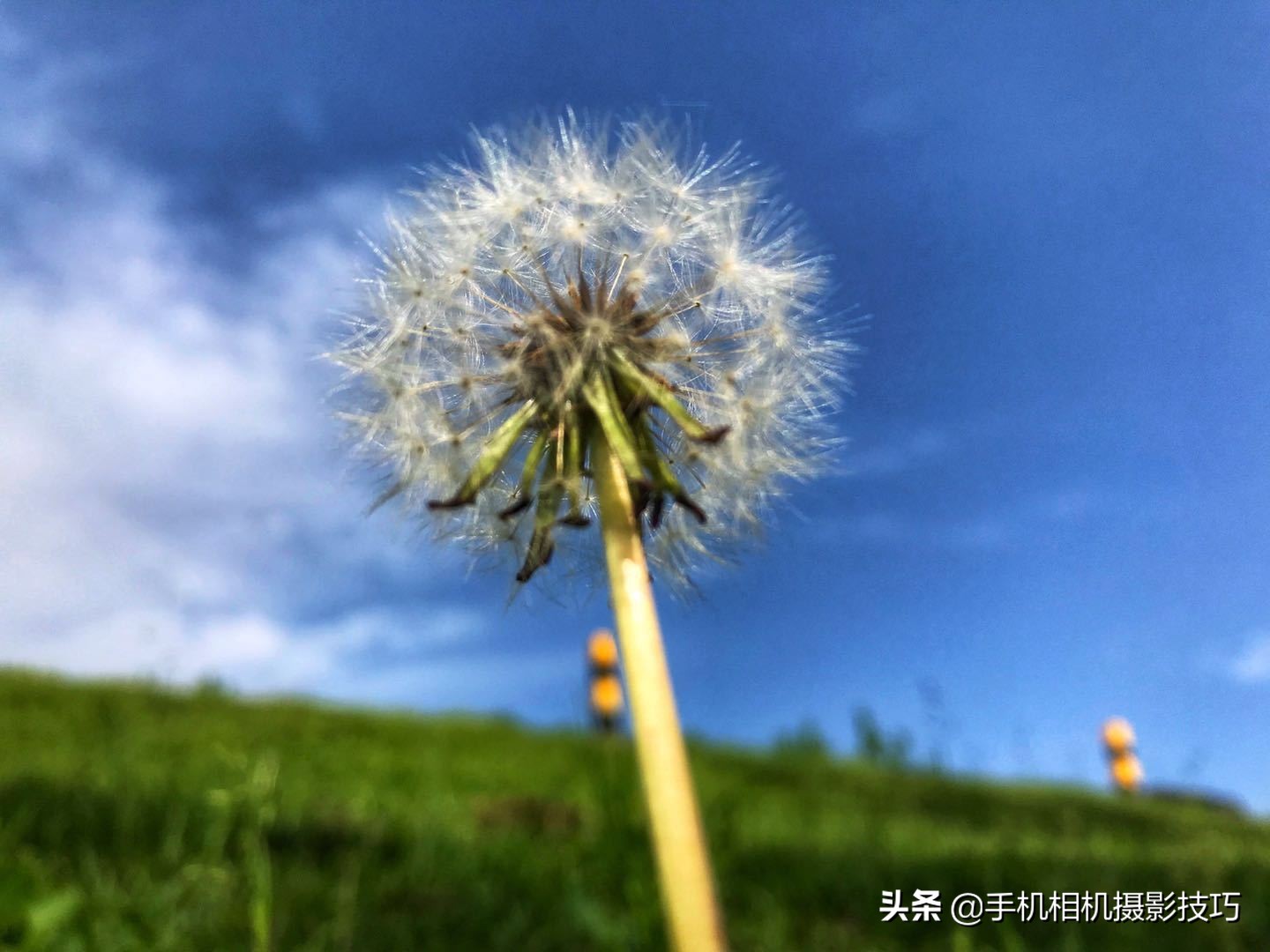 照片偏黄怎么调回正常,怎么把一张偏黄的照片恢复正常