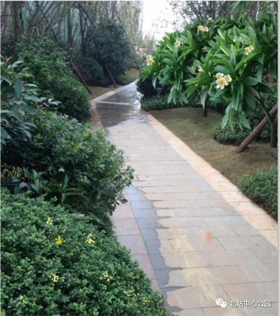 深圳建最大足球场,深圳足球公园效果图