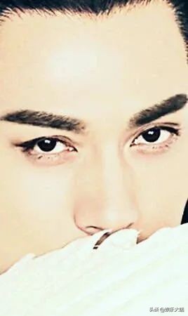 标准桃花眼的男星有哪些,桃花眼的男星有多撩人