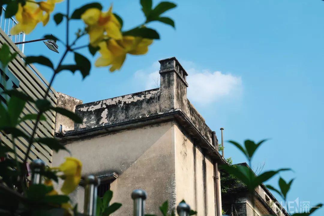 鍘夊浜嗘垜鐨勫ぇ瑗垮畨,鍘夊浜嗘垜鐨勫ぇ鑸熷北