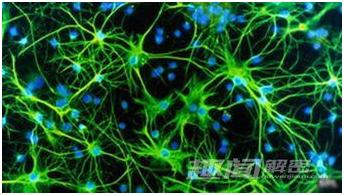 维生素d促进卵泡发育吗,生长发育期缺乏维生素d的影响