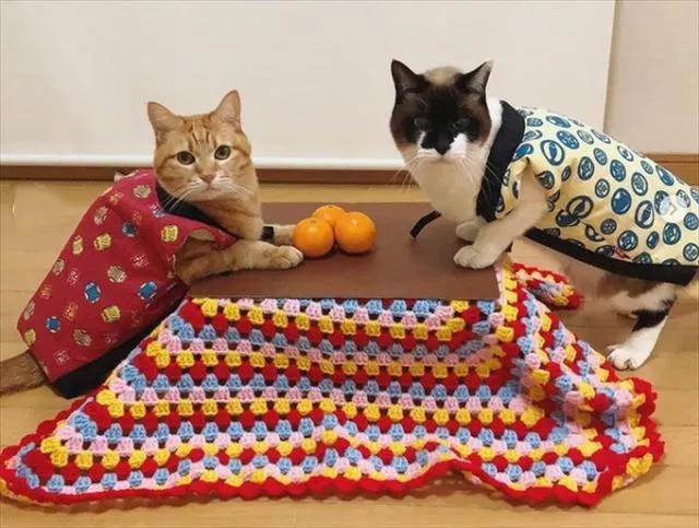 为什么日本人喜欢生吃东西,日本人为什么喜欢吃生肉