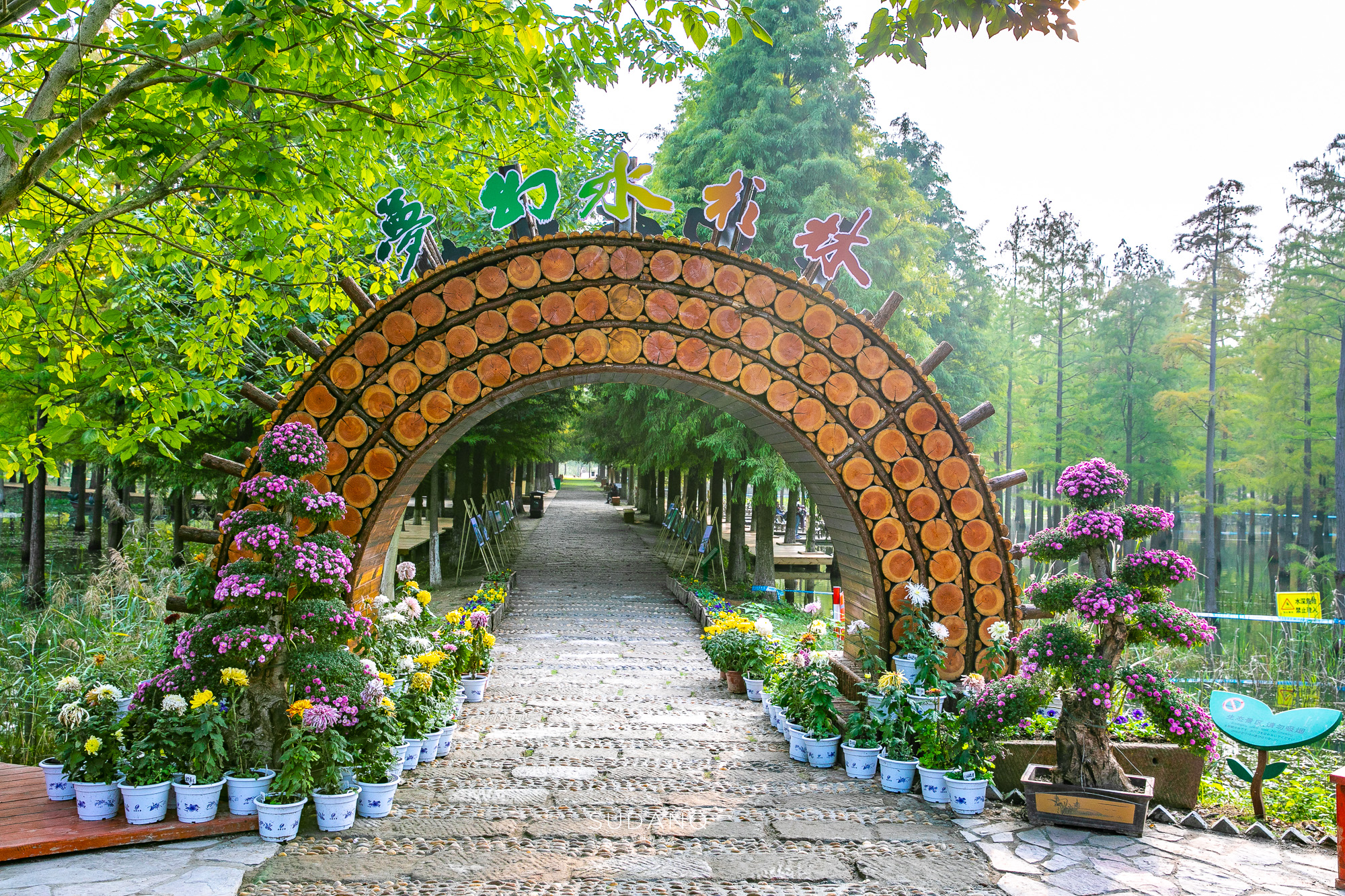 江苏泗洪的风景,江苏的苏南和苏北有什么区别