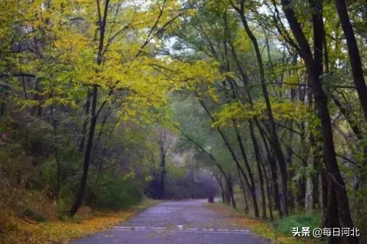 閲庣敓婧愬害鍋囨潙,閲庣敓鍘熷害鍋囨潙寰掓