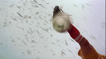 他又上热搜了，这次是因为生日