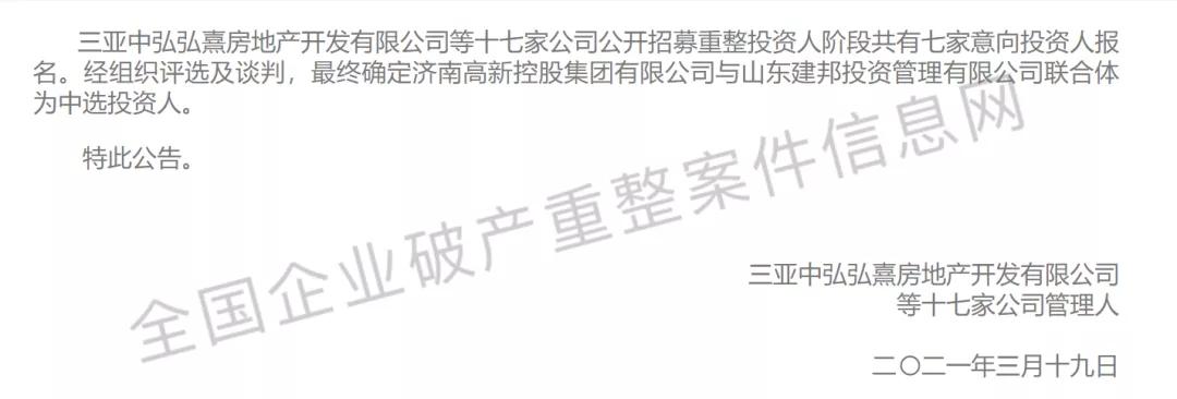 半山半岛破产重整投资人,三亚半山半岛王永红