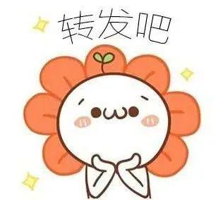 孕期B超做几次合适？做B超检查要注意哪些事？