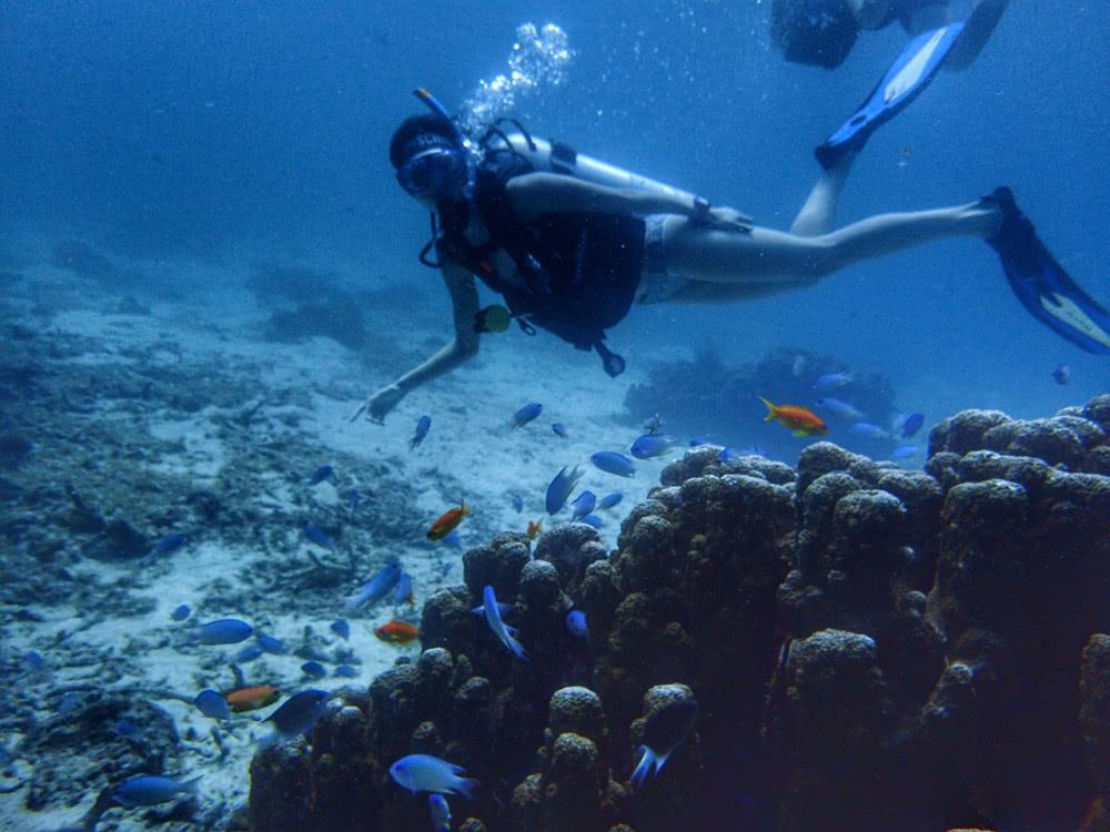 普吉岛发生过什么事件,现在去普吉岛旅游安全吗