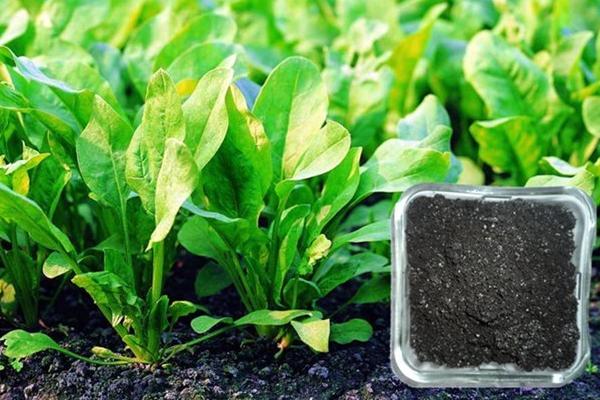 复合肥和有机肥有啥区别？复合肥都含哪些成分呢？复合肥使用方法