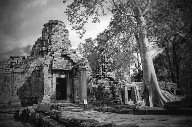 香奈儿5号闻不见香水味,香奈儿5号经典是淡香吗