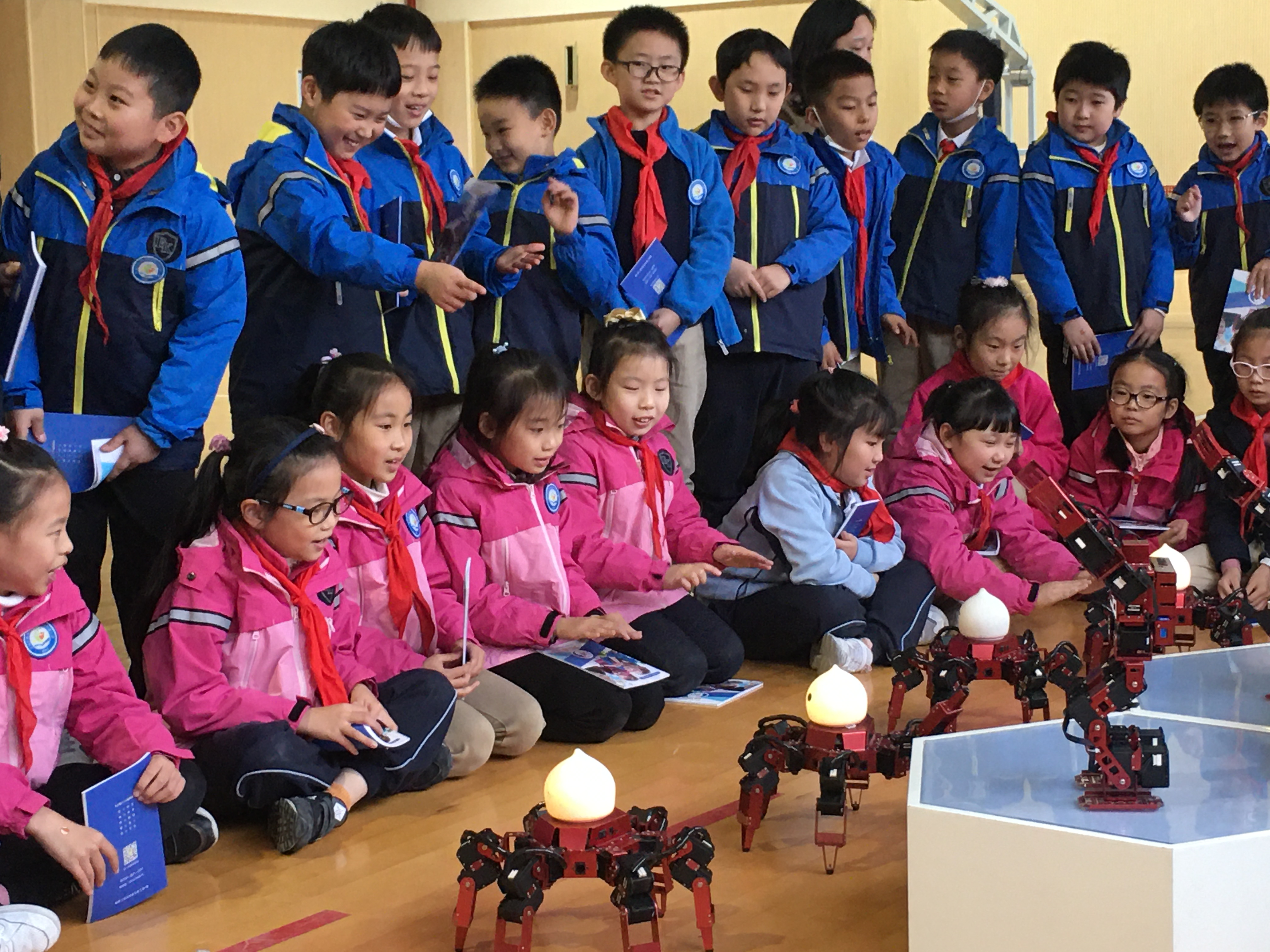 机器人教育权威机构,机器人编程教育排行榜