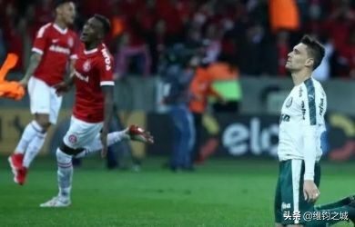 鲁能最新引援,鲁能后腰最新引援消息