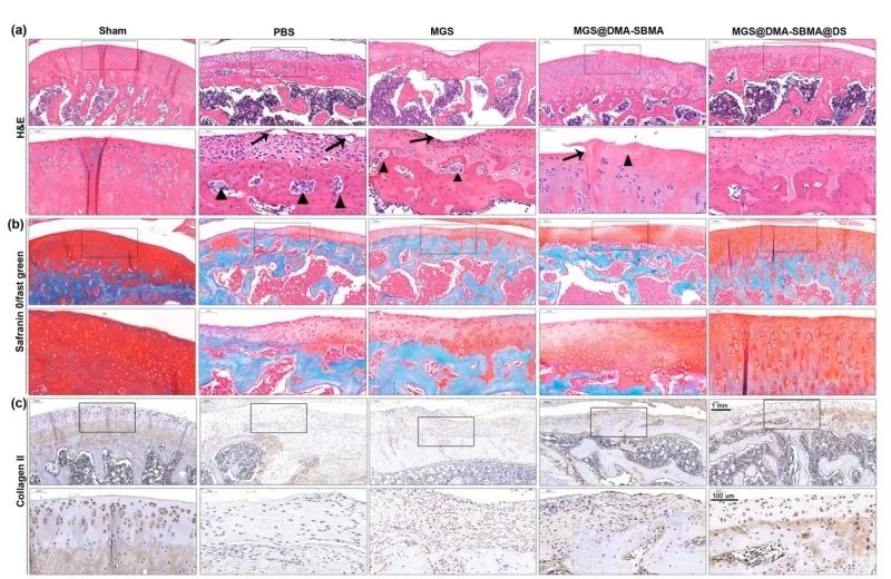 神奇磁浮球,神奇微球如何颠覆传统医美